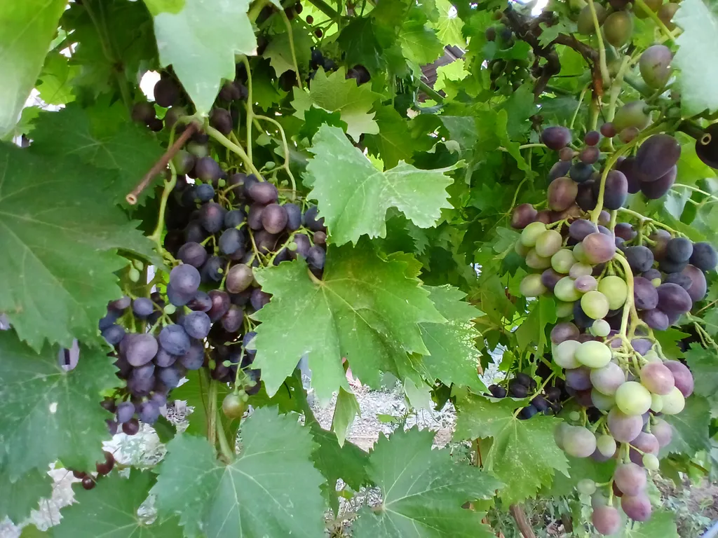 Коттедж Гостевой дом Южный — Кучугуры