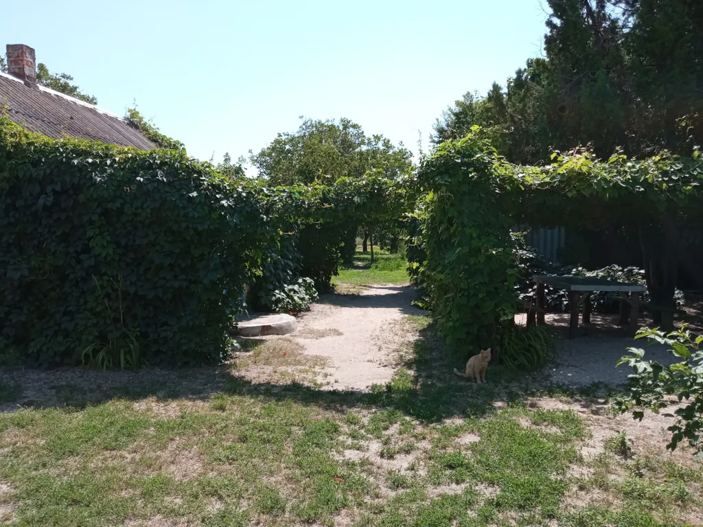 Коттедж Дом у моря (без хозяев) — Должанская