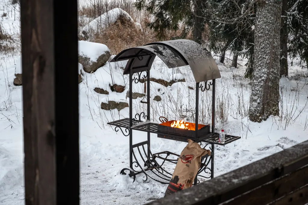 Загородный дом в лесу вблизи залива