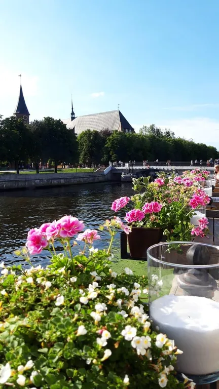 Семейная квартира у Зоопарка и Северного Вокзала