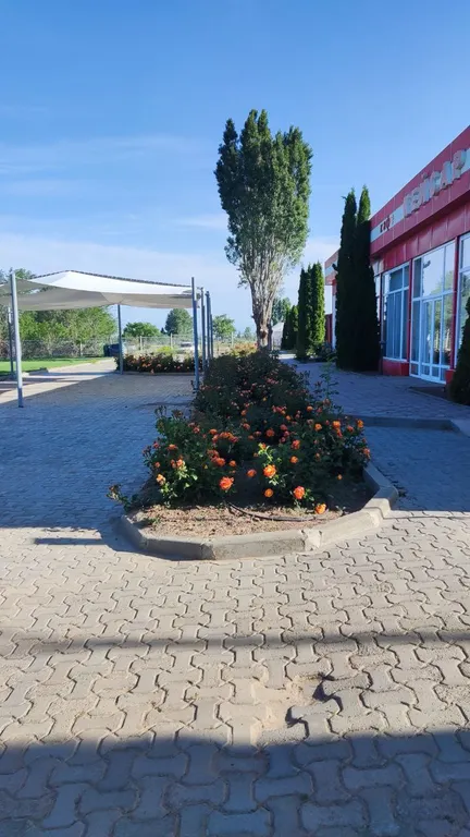 Уютный особняк в центре отдыха Кейсар