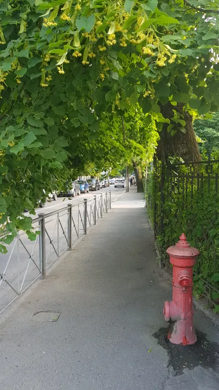 Тихая и уютная квартира в историческом центре