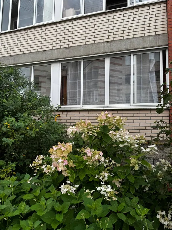 Уютная квартира в сердце города