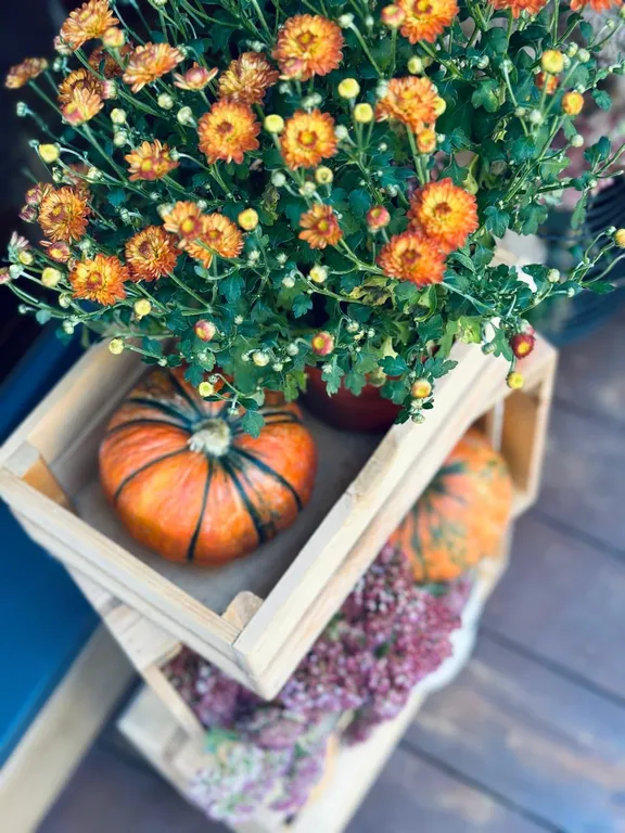 Коттедж Уютные домики Афрейм — Казань