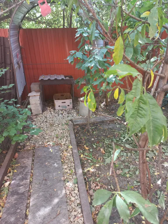 3-комнатный Дом