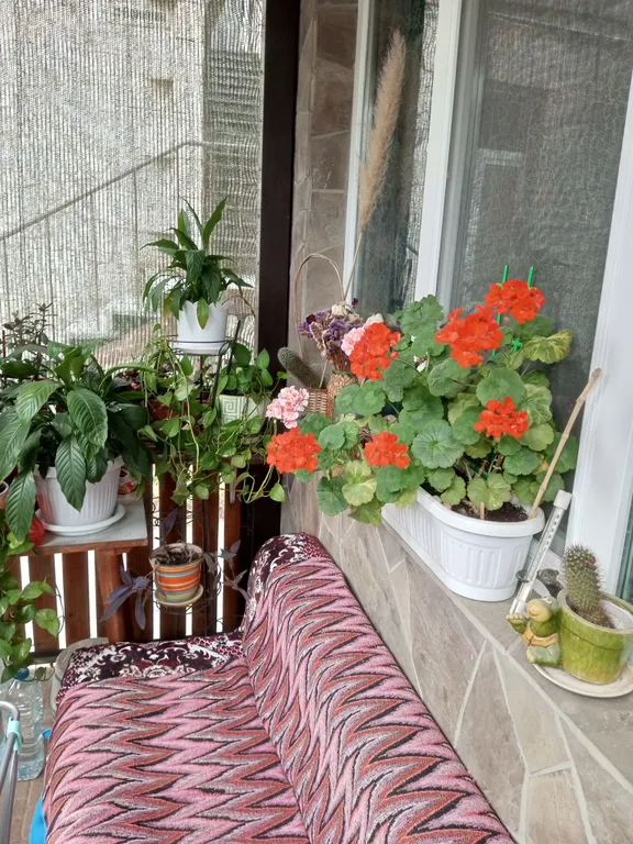 Коттедж Коттедж в центре — Ялта