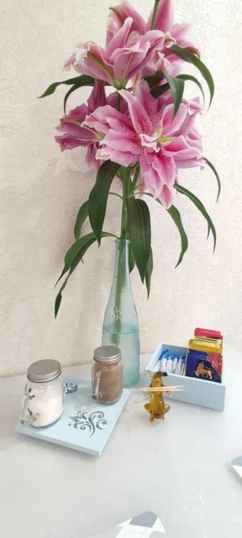 Солнечная Камчатка