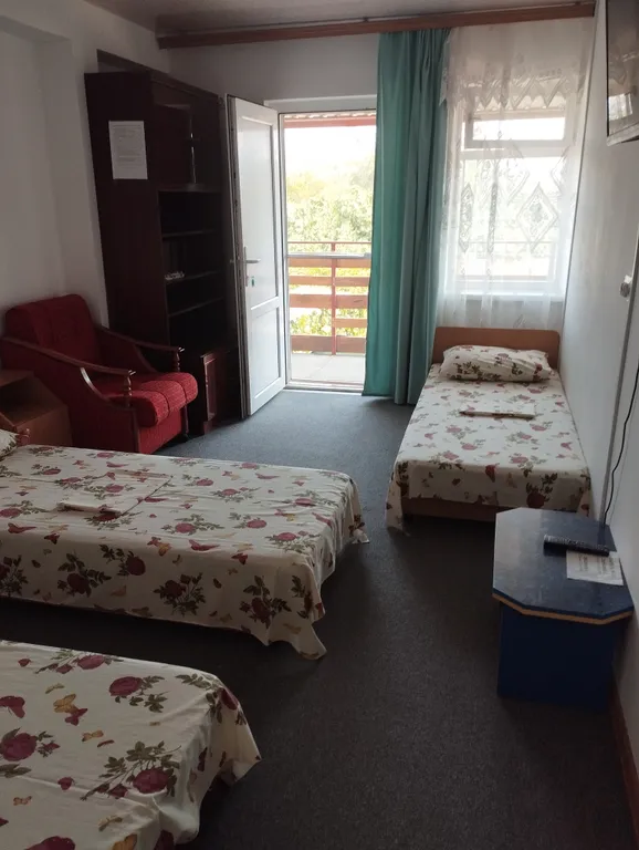 Квартира Комната — Новоотрадное