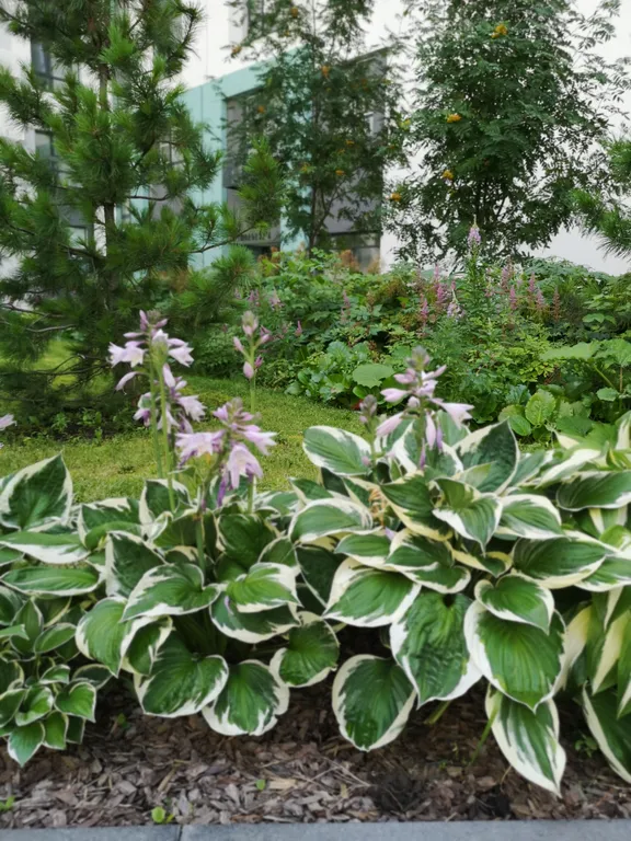 Квартира Уютная квартира в ЖК комфорт класса Панова Парк — Самара