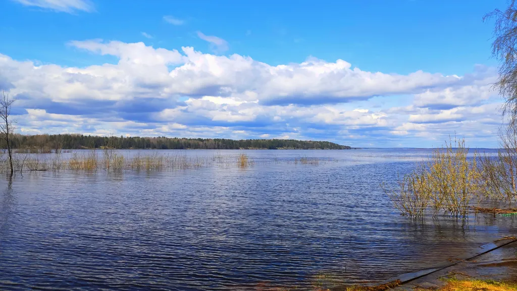 Коттедж Дом Теремок на берегу озера в Карелии с сауной — Верховье