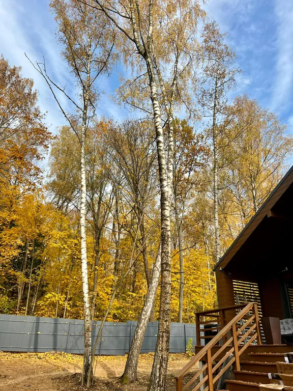 Рембрандт - Ваш идеальный дом для отдыха!