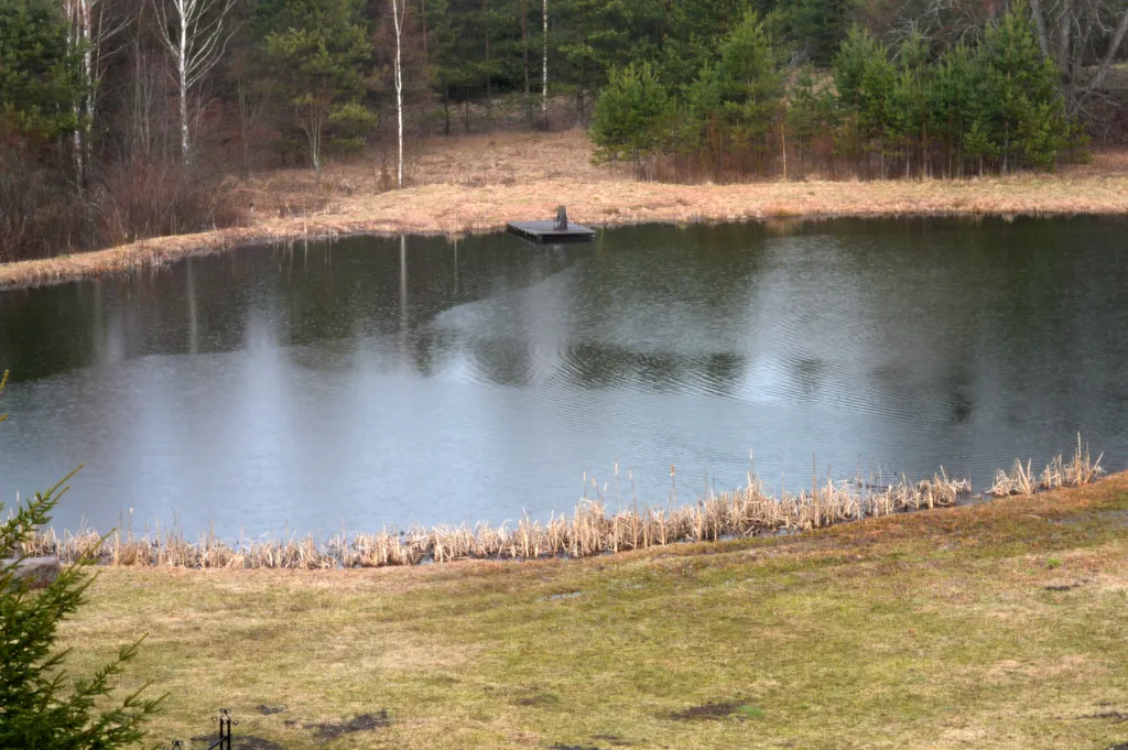 Агроусадьба у Топтыгина
