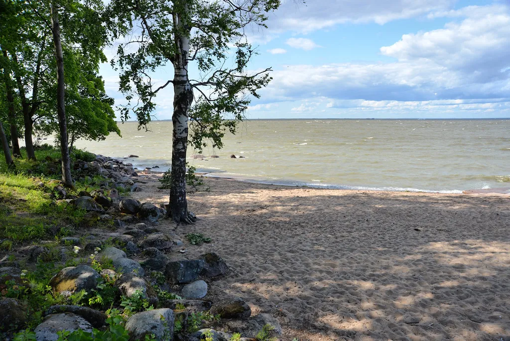 Апартамент у центрального пляжа и парка Дубки