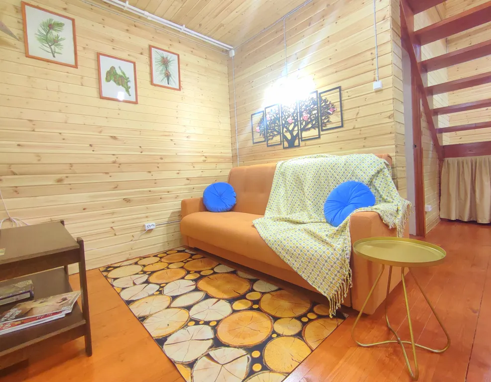 Петербургская дача на холме прямо у озера