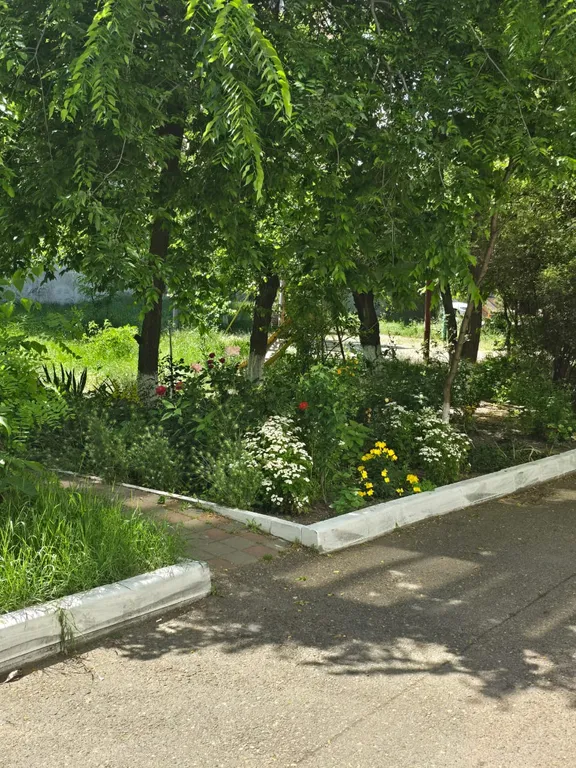 Уголок счастья на берегу моря