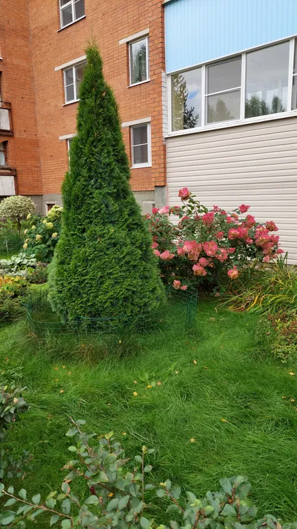 Апартамент на Рыбинском море