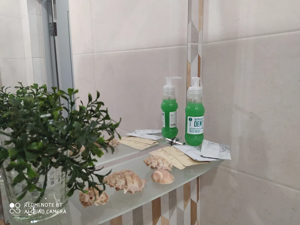 Квартира Уютная квартира с видом на лес — Светлогорск