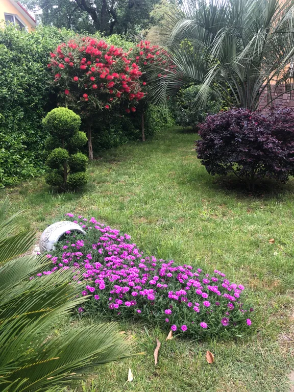 Квартира Комната — Сириус