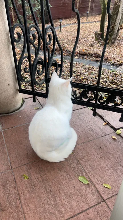 Коттедж у реки