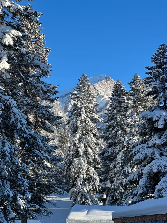 А-фрейм 1 с видом на горы и лес