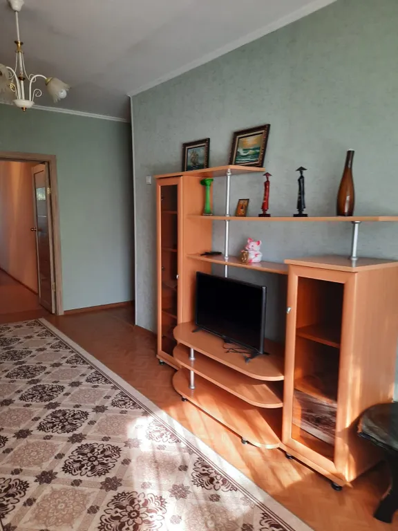 Квартира Отдых в Шмаковке вид на кедровый бор, целебный воздух, нарзан, рыбалка — Лесозаводск