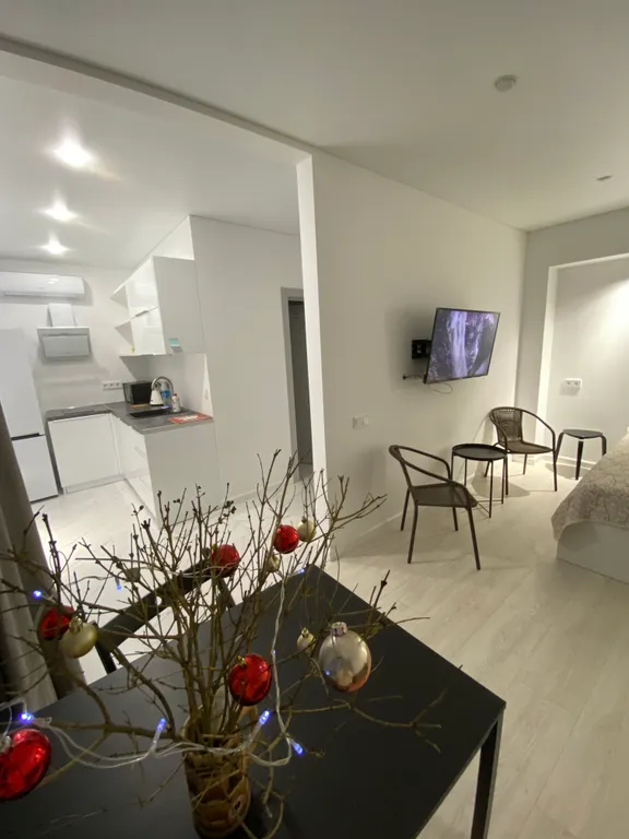 Студия с видом на море на набережной Горького