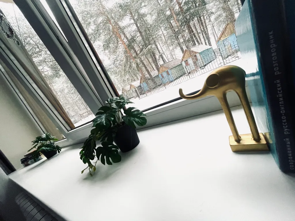 Уютная квартира в сосновом лесу