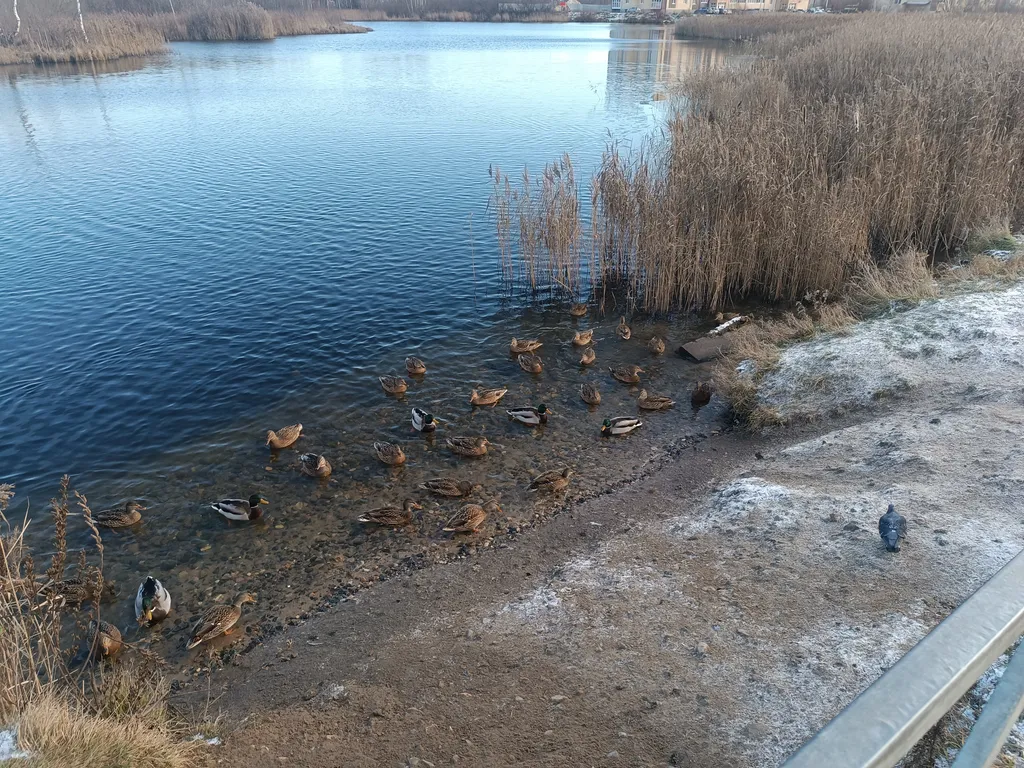 Уютная квартира в тихом экологически чистом районе
