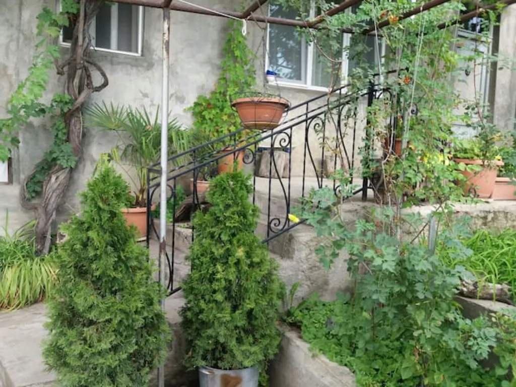 Апартаменты с панорамным видом центра Еревана и горы Арарат