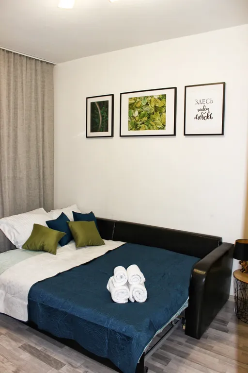 Уютная квартира возле станции Пушкино