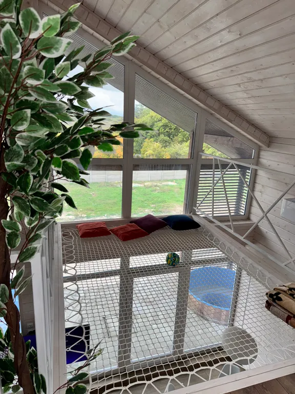 Эко дом у леса