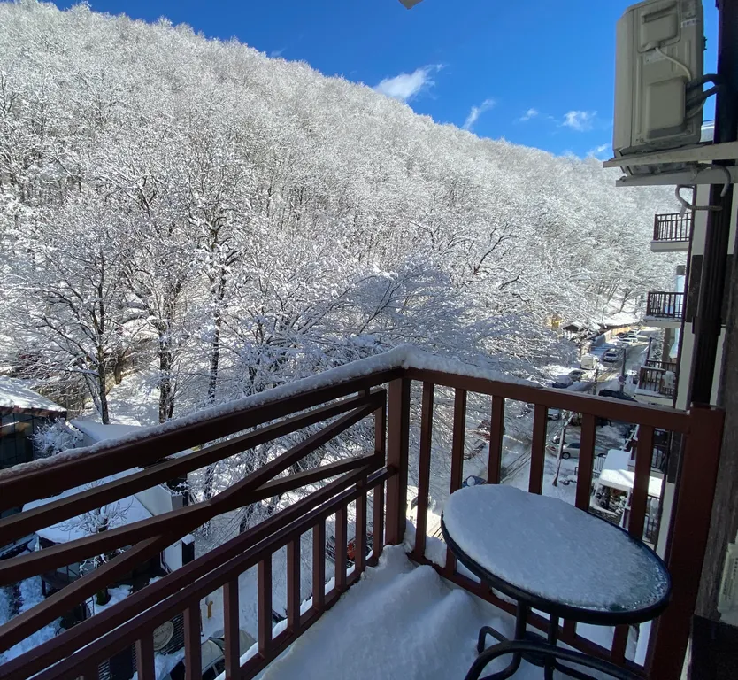 Квартира с балконом и видом