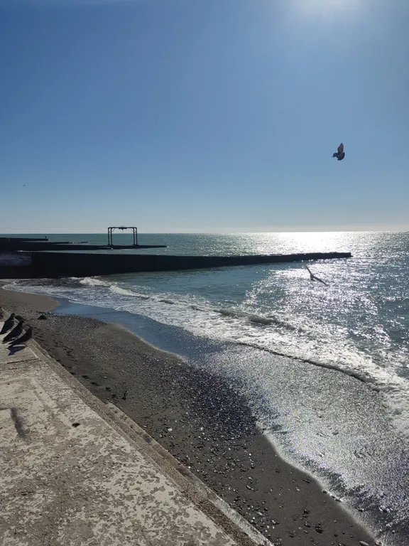 Эллинг на берегу моря