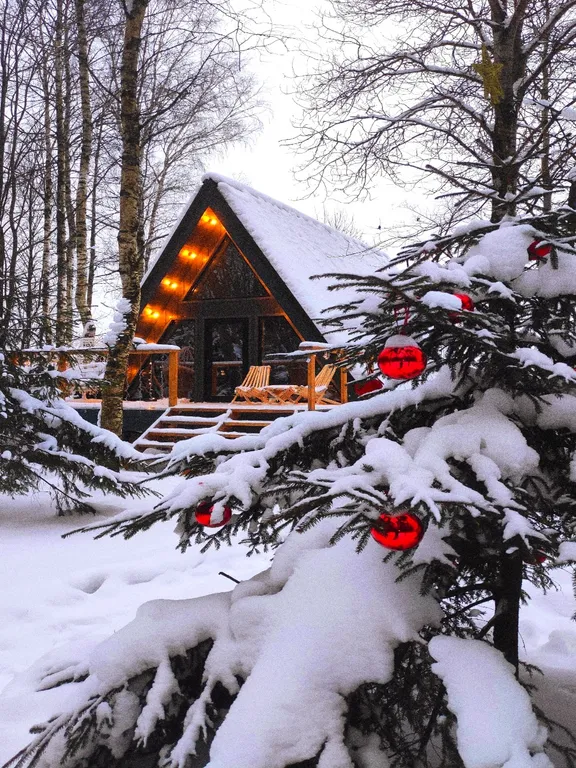 Шале в лесу в Подмосковье