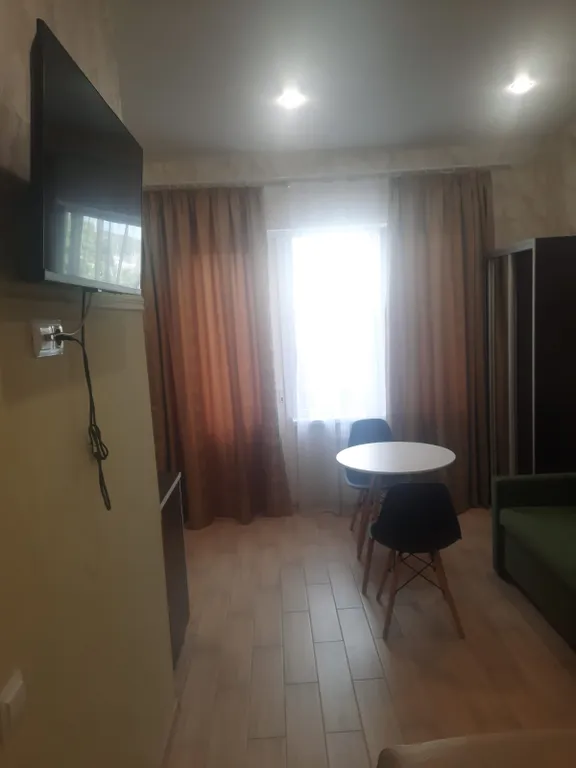 Квартира Квартира -студия в Олимпийском парке — Сириус