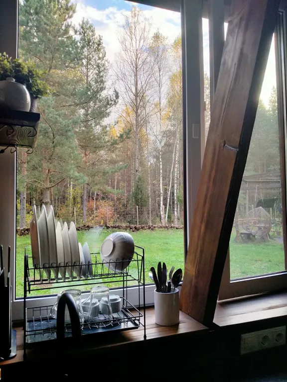 Уютный домик с видом на лес