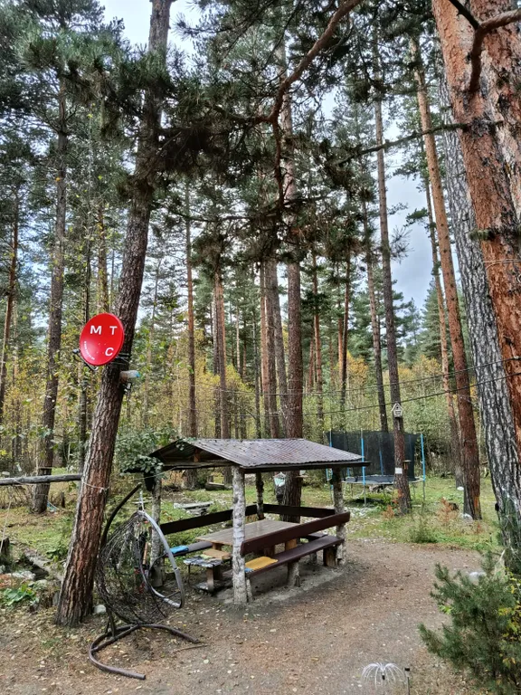 Коттедж Коттедж Лес хрустальной песни — Архыз