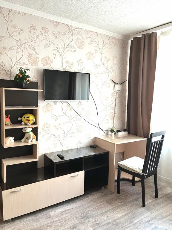 1-комнатная квартира в самом центре города — аренда посуточно в Владивосток