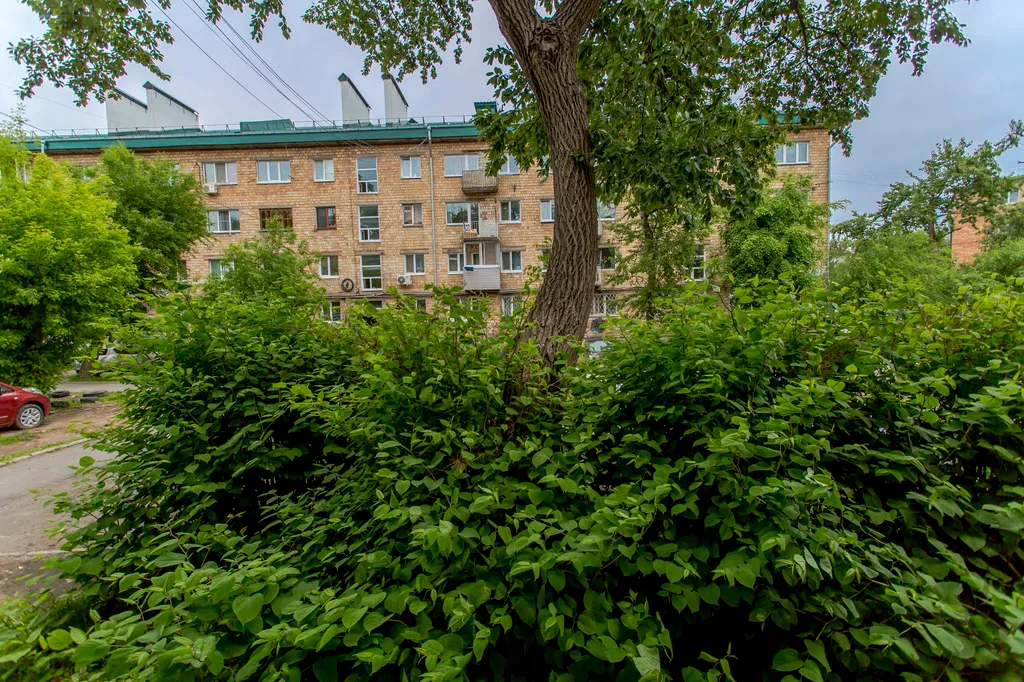 Квартира Квартира Студия с современным дизайном — Владивосток