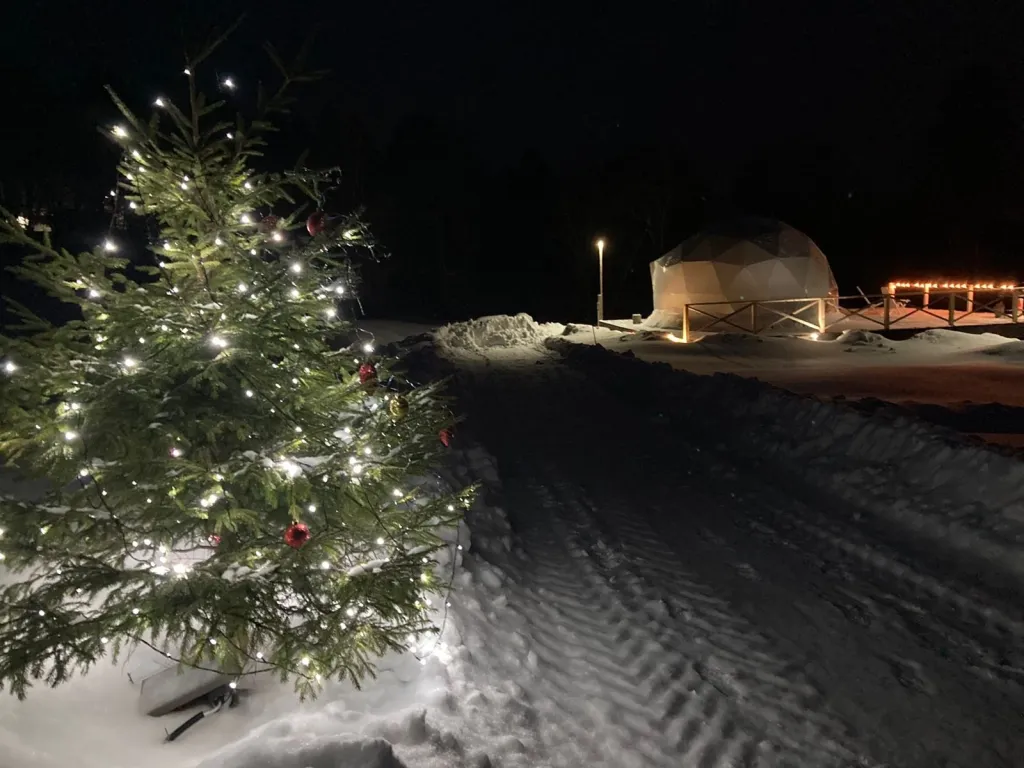Домик с баней на берегу Ладожского озера