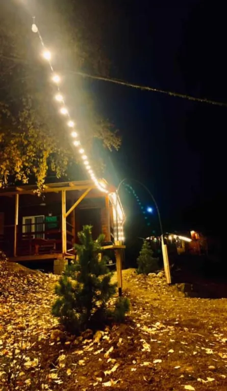 Деревянный дом