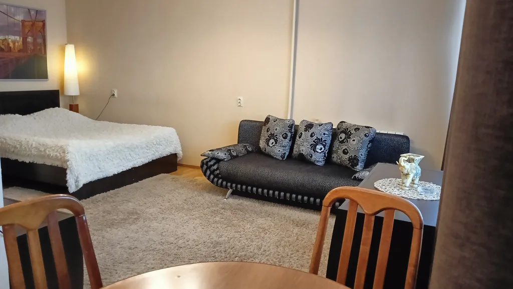 Комфортная однокомнатнатная в центре с потрясающим видом на Каму