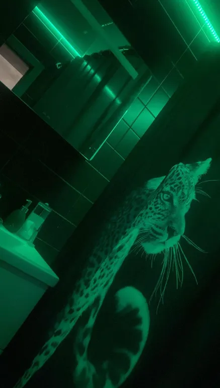 Дизайнерская 2к квартира с джакузи, камином и звездным небом в центре