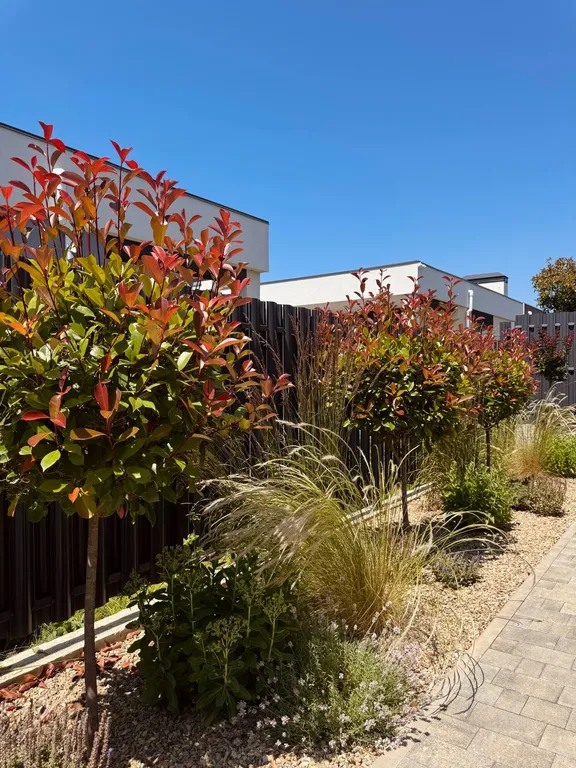 Дом с бассейном и террасой в 12 минутах от моря - House of hedonist