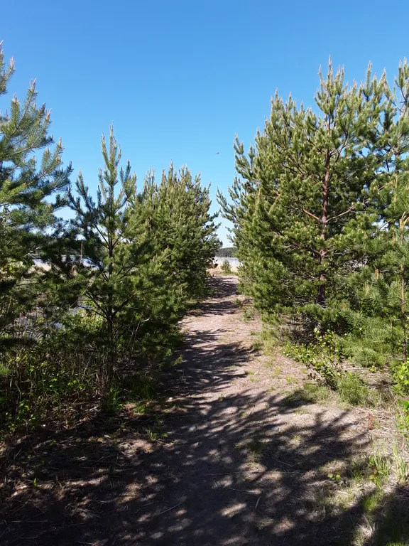 Коттедж Дом на берегу залива с баней и камином — Ключевое