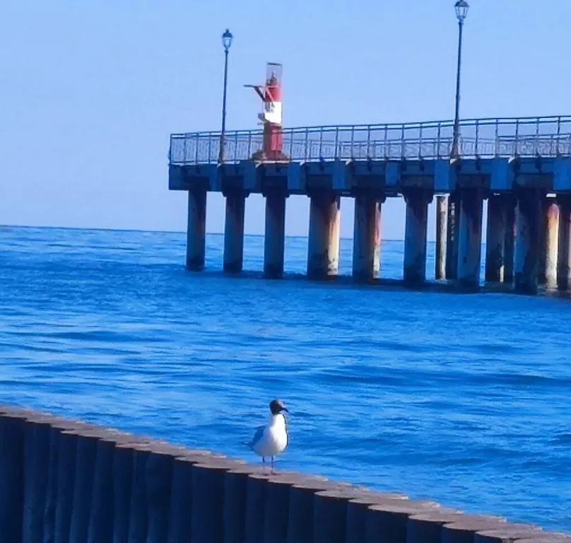 Квартира 1-комнатная квартира в новом доме — Пионерский