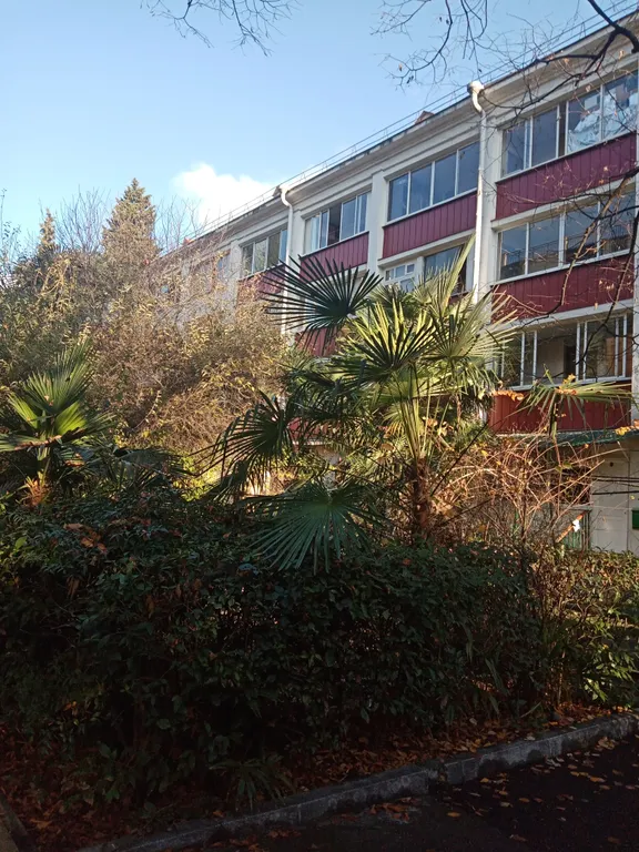 Квартира 1-комнатная Квартира — Сочи