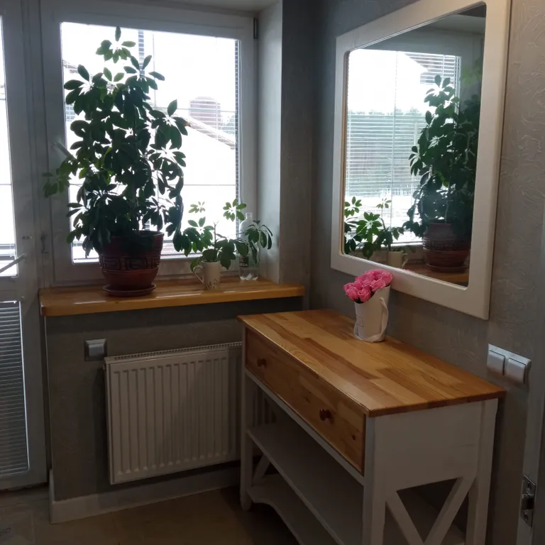 Студия Пентхаус.