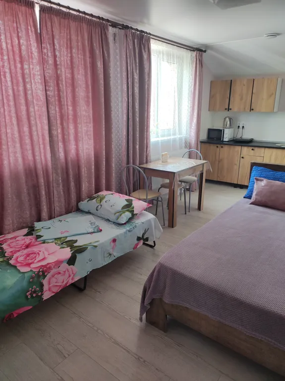 Уютная комната с кухней