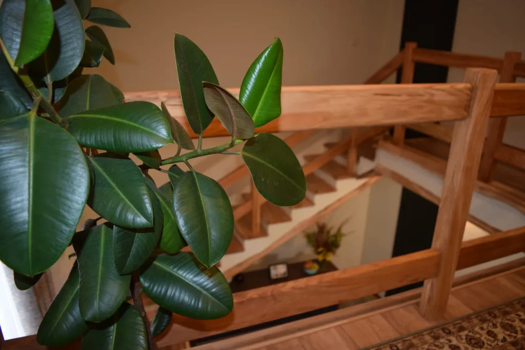 Дом в горах